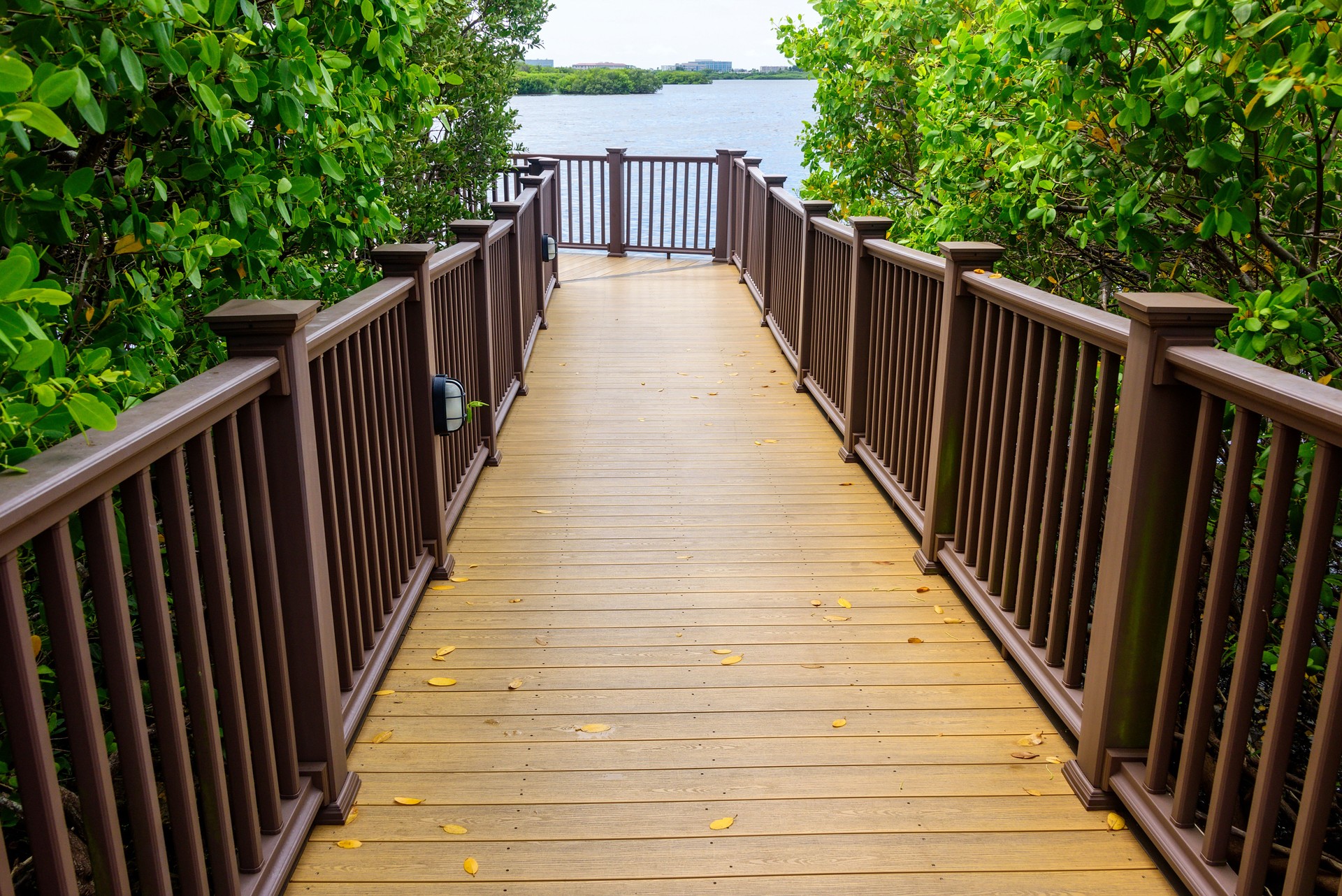 Wooden Path for Pedestrians